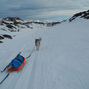 SØRØYA PÅ LANGS