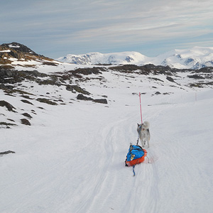 SØRØYA PÅ LANGS