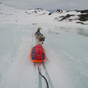 SØRØYA PÅ LANGS