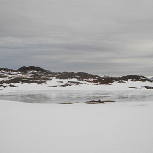 SØRØYA PÅ LANGS