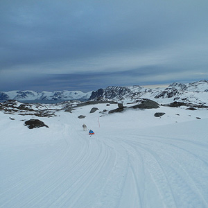 SØRØYA PÅ LANGS