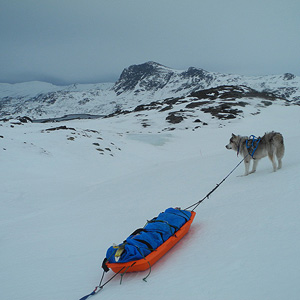 SØRØYA PÅ LANGS