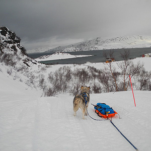 SØRØYA PÅ LANGS