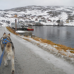 SØRØYA PÅ LANGS