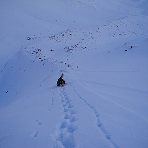 Travesía Circular Kebnekaise