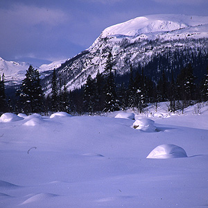 Travesía Kungsleden con esquis