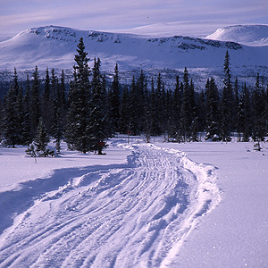 Travesía Kungsleden con esquis