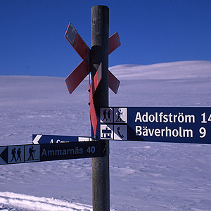 Travesía Kungsleden con esquis