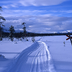 Travesía Kungsleden con esquis