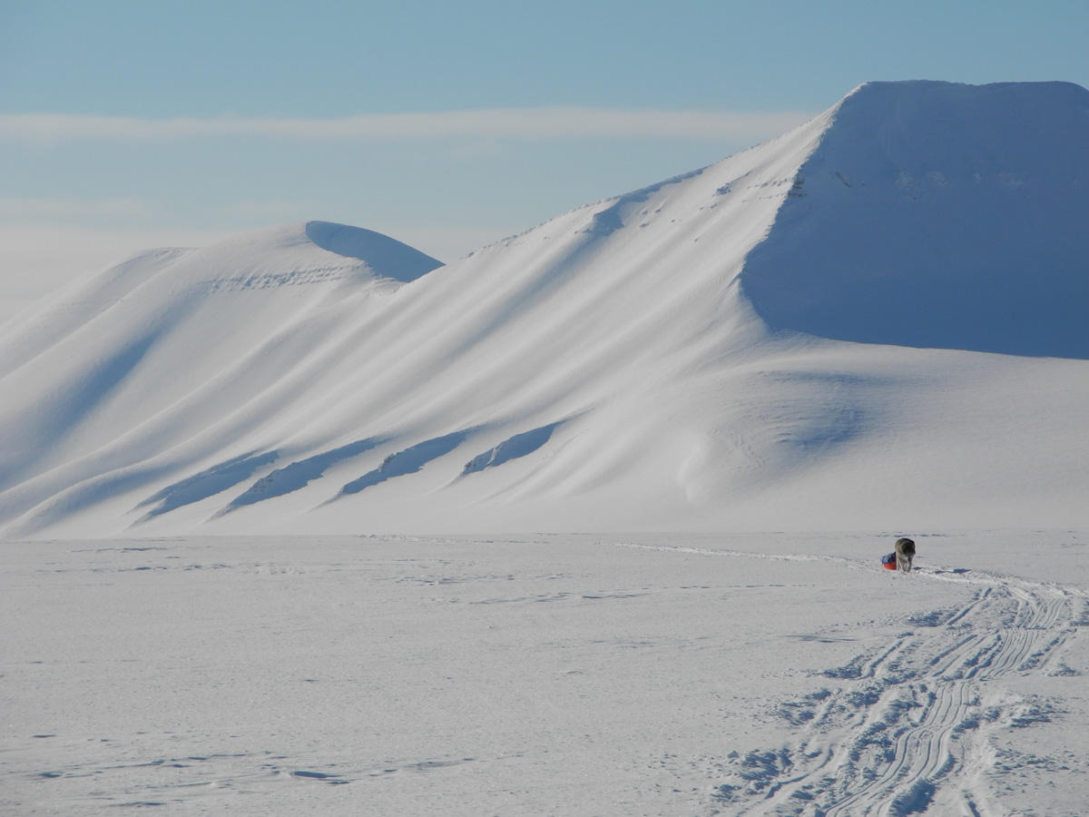 Monte Newton Svalbard