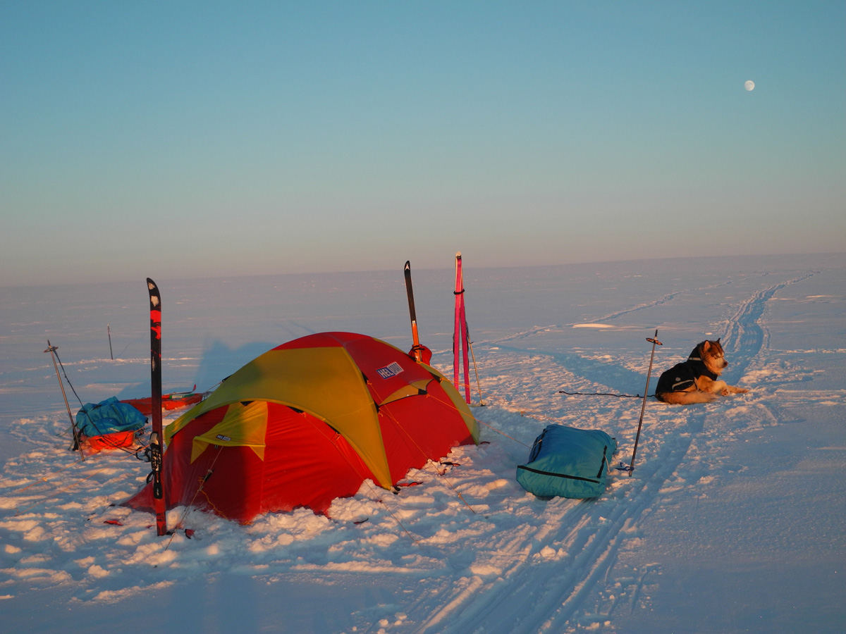 Monte Newton Svalbard