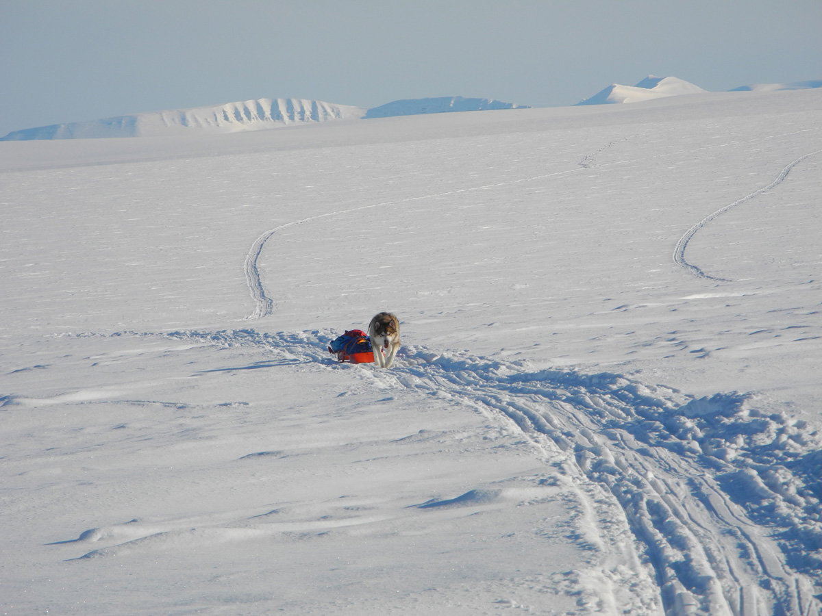 Monte Newton Svalbard