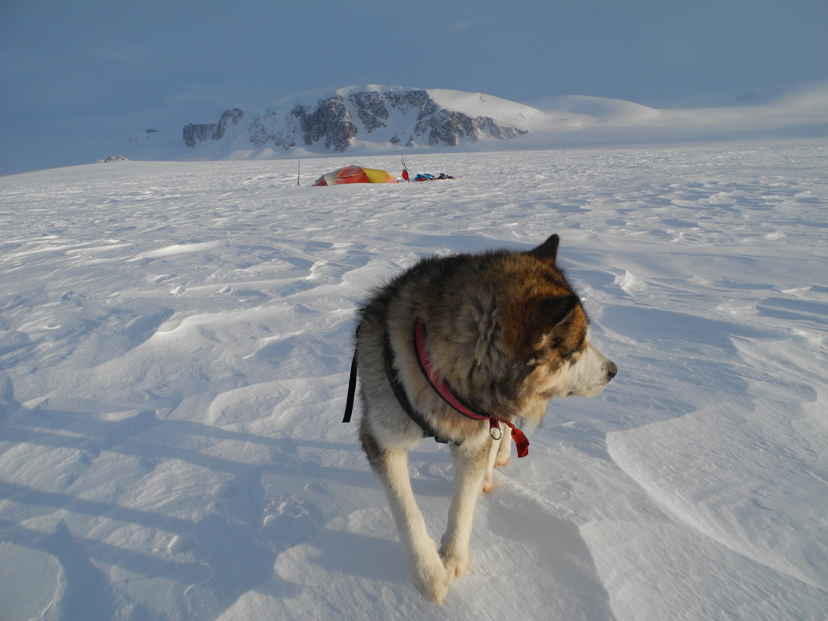 Monte Newton Svalbard