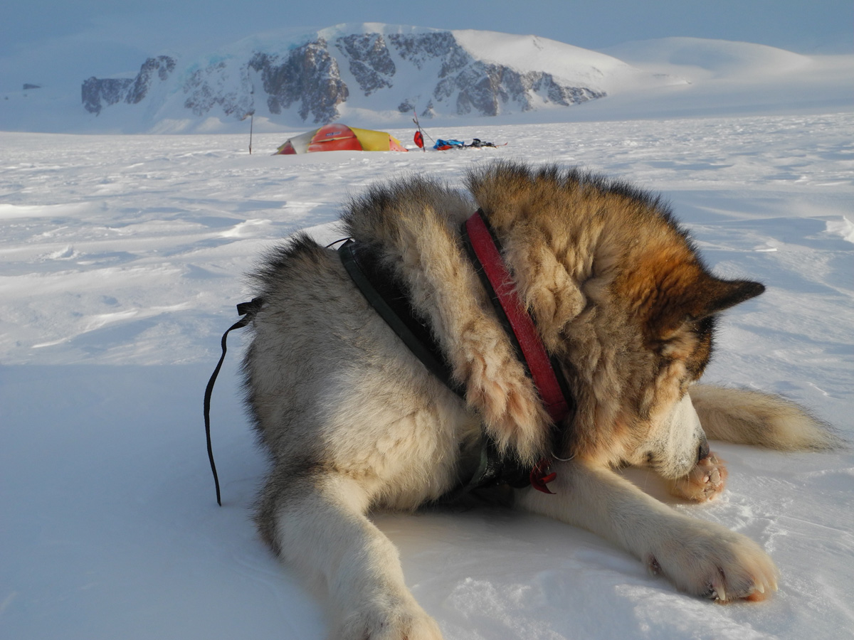 Monte Newton Svalbard