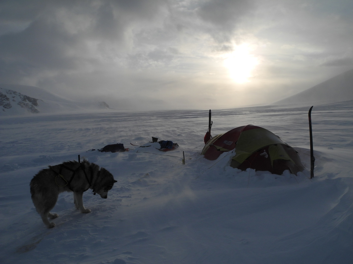 Monte Newton Svalbard