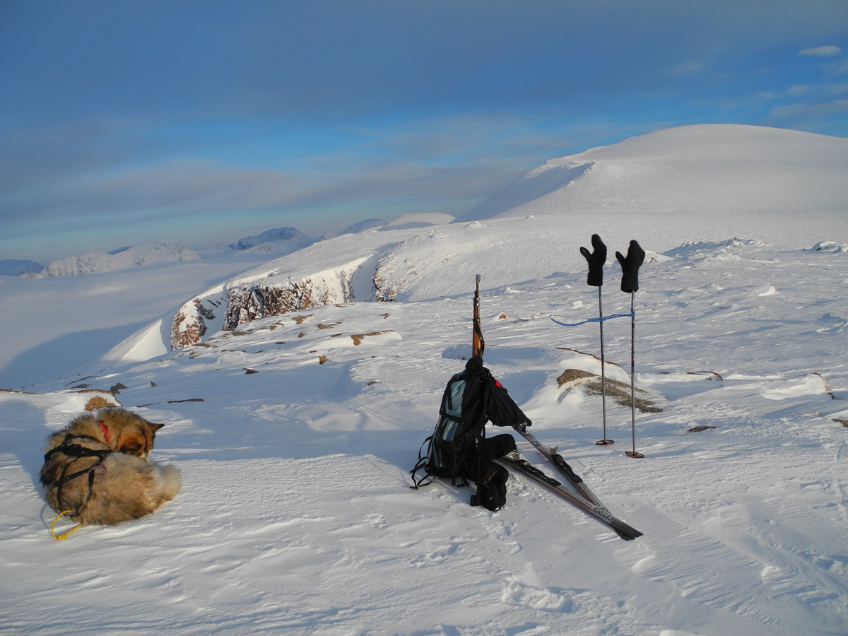 Monte Newton Svalbard