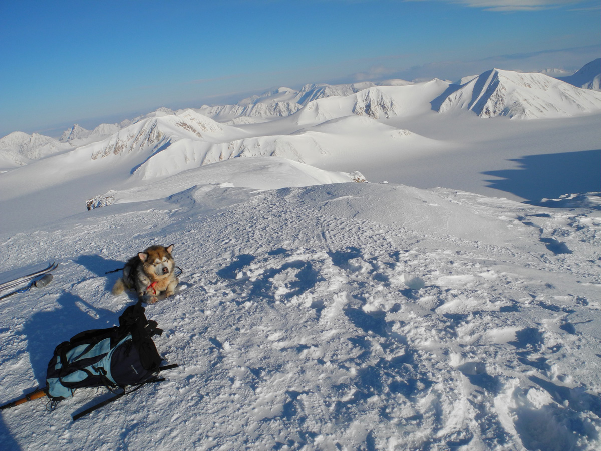 Monte Newton Svalbard