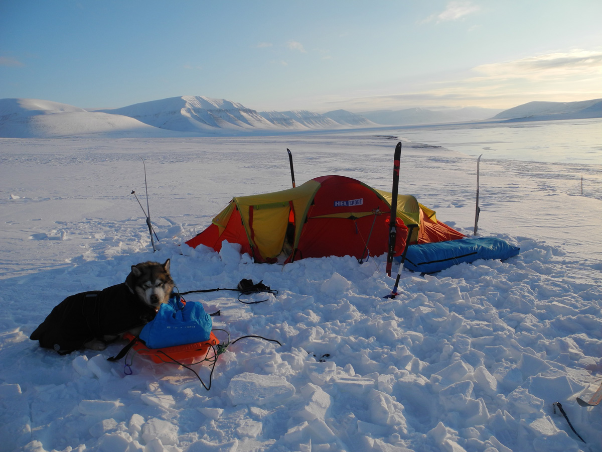 Monte Newton Svalbard