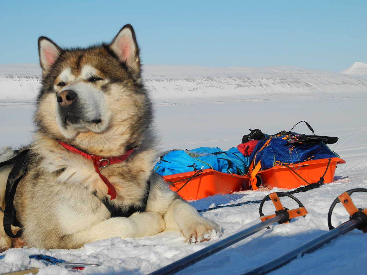 Monte Newton Svalbard