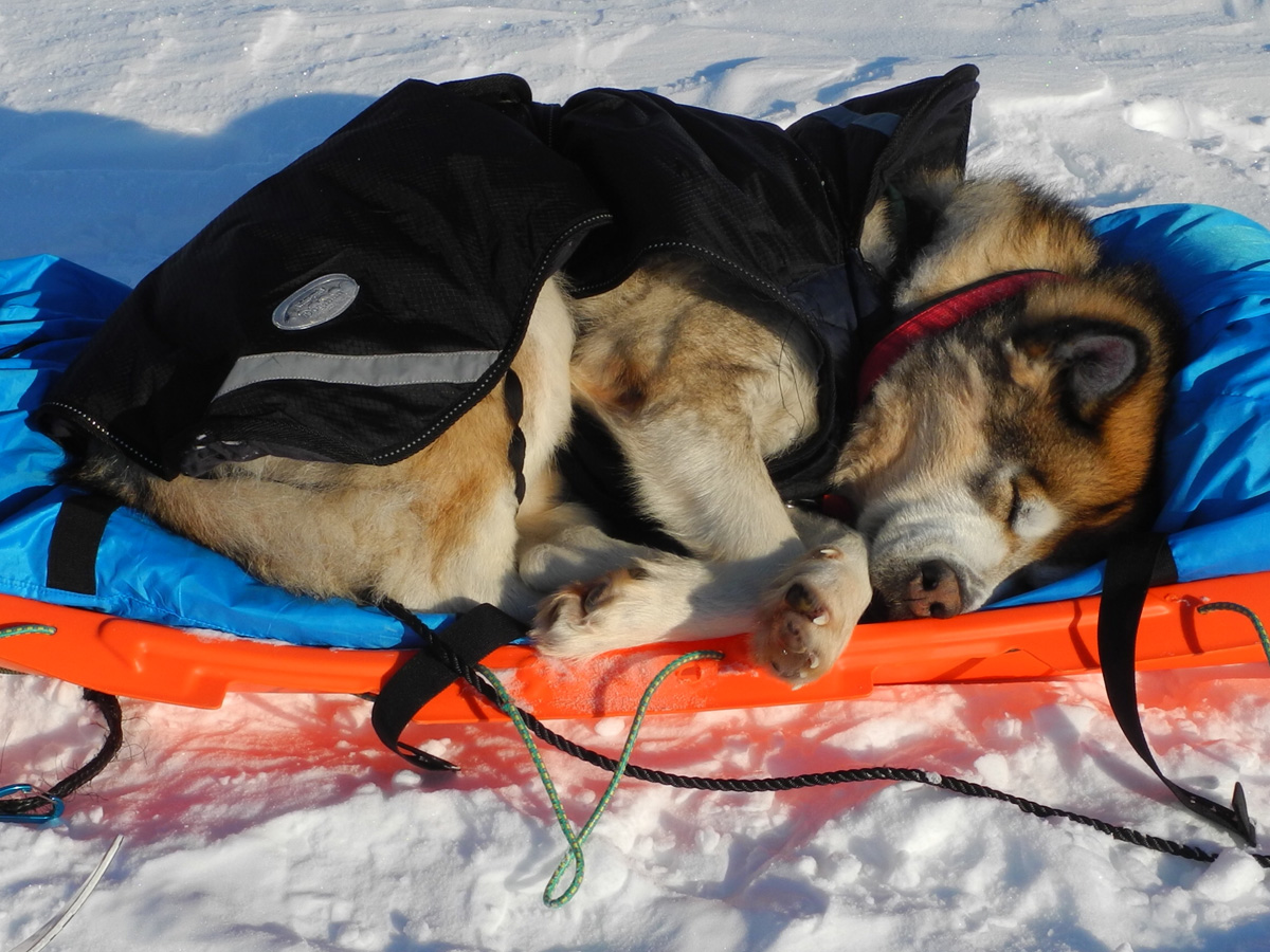 Monte Newton Svalbard