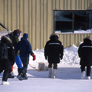 Resolute Bay