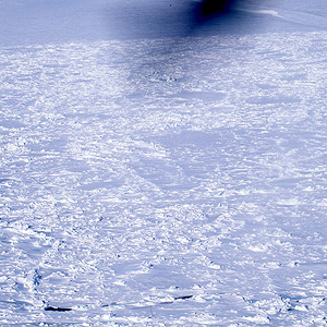 Resolute Bay