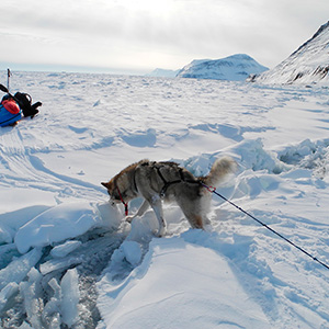 Travesía Spitzbergen Sur