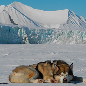 Travesía Spitzbergen Sur