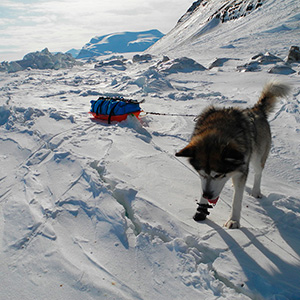 Travesía Spitzbergen Sur