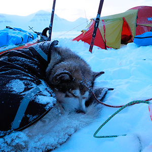 Travesía Spitzbergen Sur