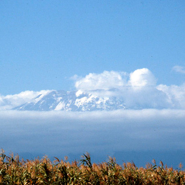 Kilimanjaro