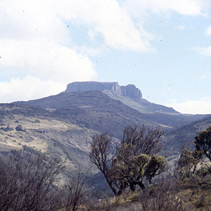 Monte Elgon