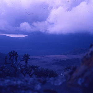 Monte Elgon