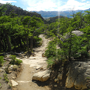 Patagonia de mar a mar