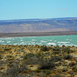 Patagonia de mar a mar
