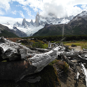 Patagonia de mar a mar