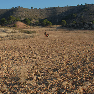 Travesía Monegros