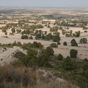 Travesía Monegros