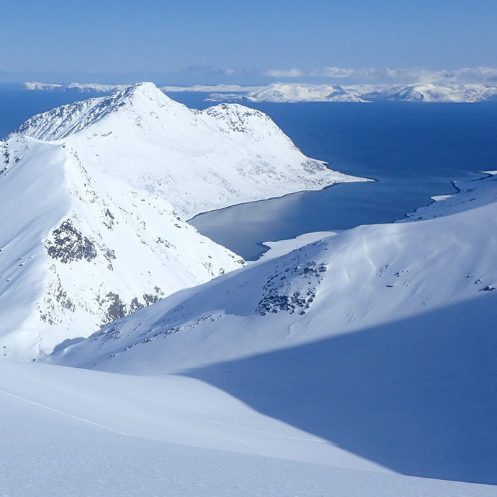 Langfjordjokkelen