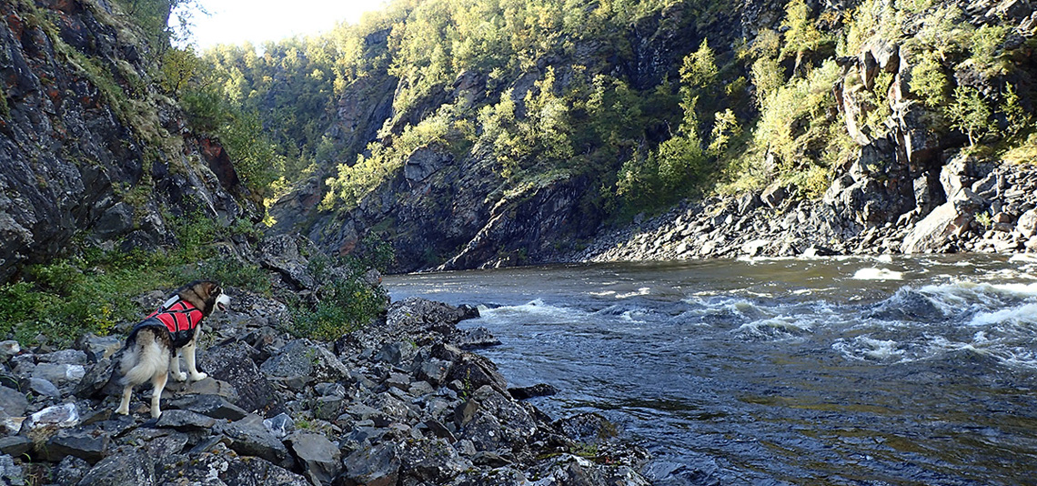 Stabbursdalen National Park