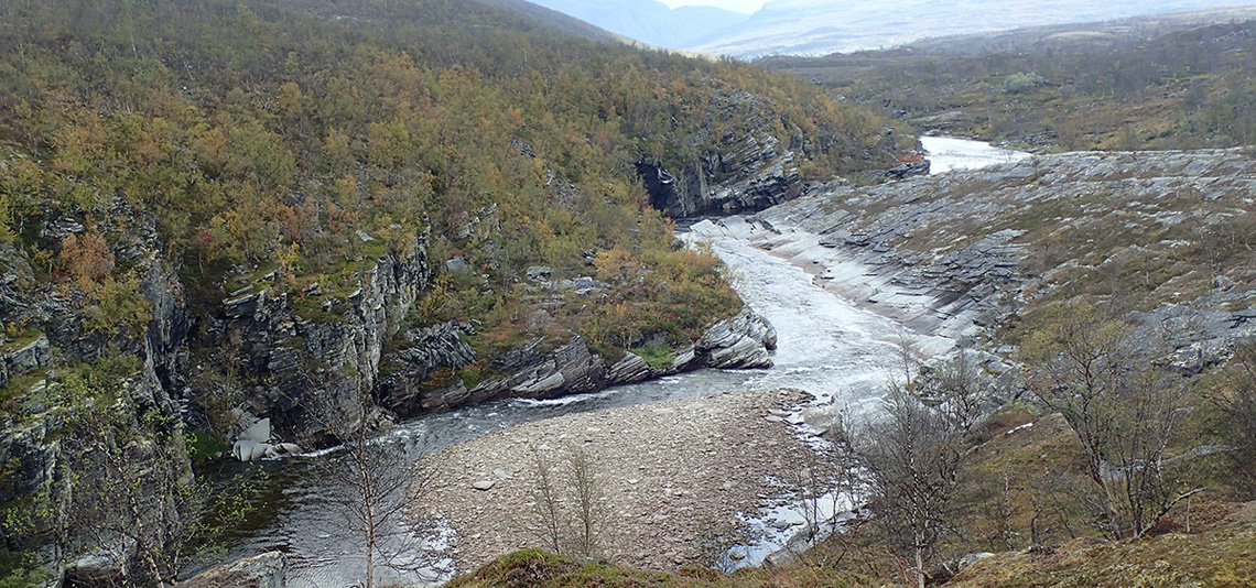 Stabbursdalen National Park