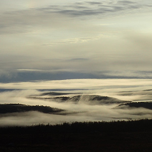 Finnmarksvidda