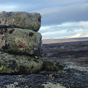 Finnmarksvidda