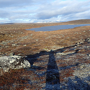 Finnmarksvidda