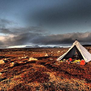 Finnmarksvidda