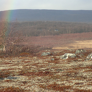 Finnmarksvidda