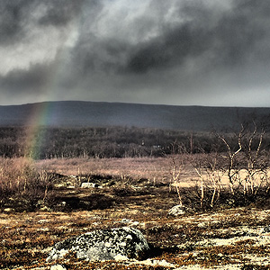 Finnmarksvidda