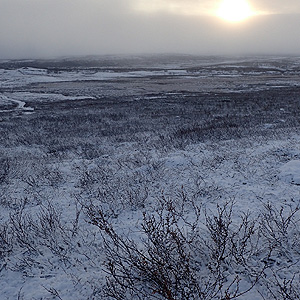 Finnmarksvidda