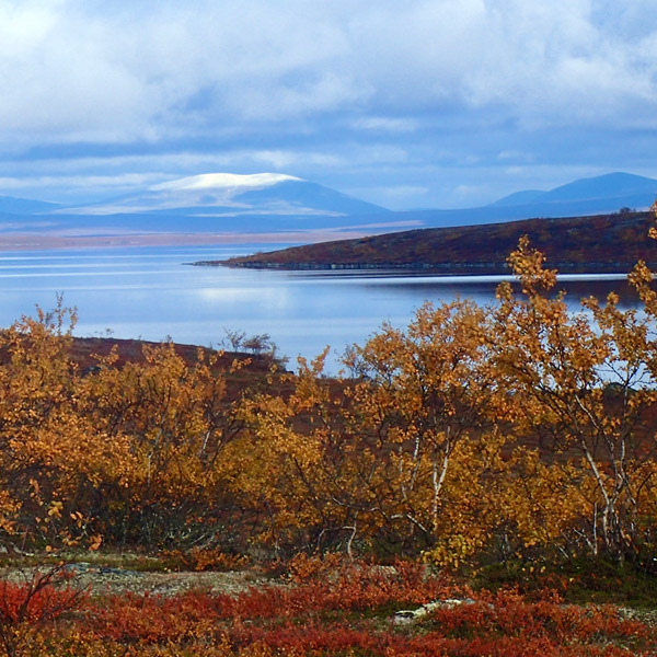 Finnmarksvidda På Langs