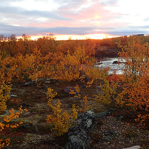 Finnmarksvidda På Langs